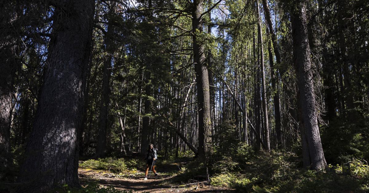 Thru-hiker Jessica 'Stitches' Guo on pace to linking the Continental and Great Divide Trails