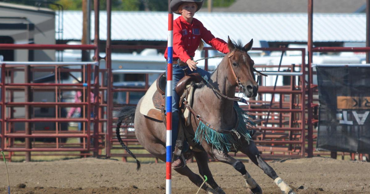 Scoreboard: Montana junior high school rodeo standings (May 22)