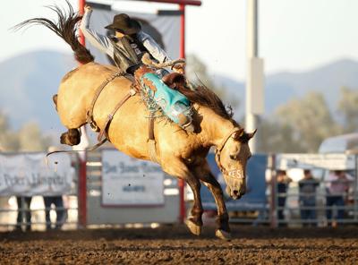 Last Chance Stampede to feature top PRCA talent
