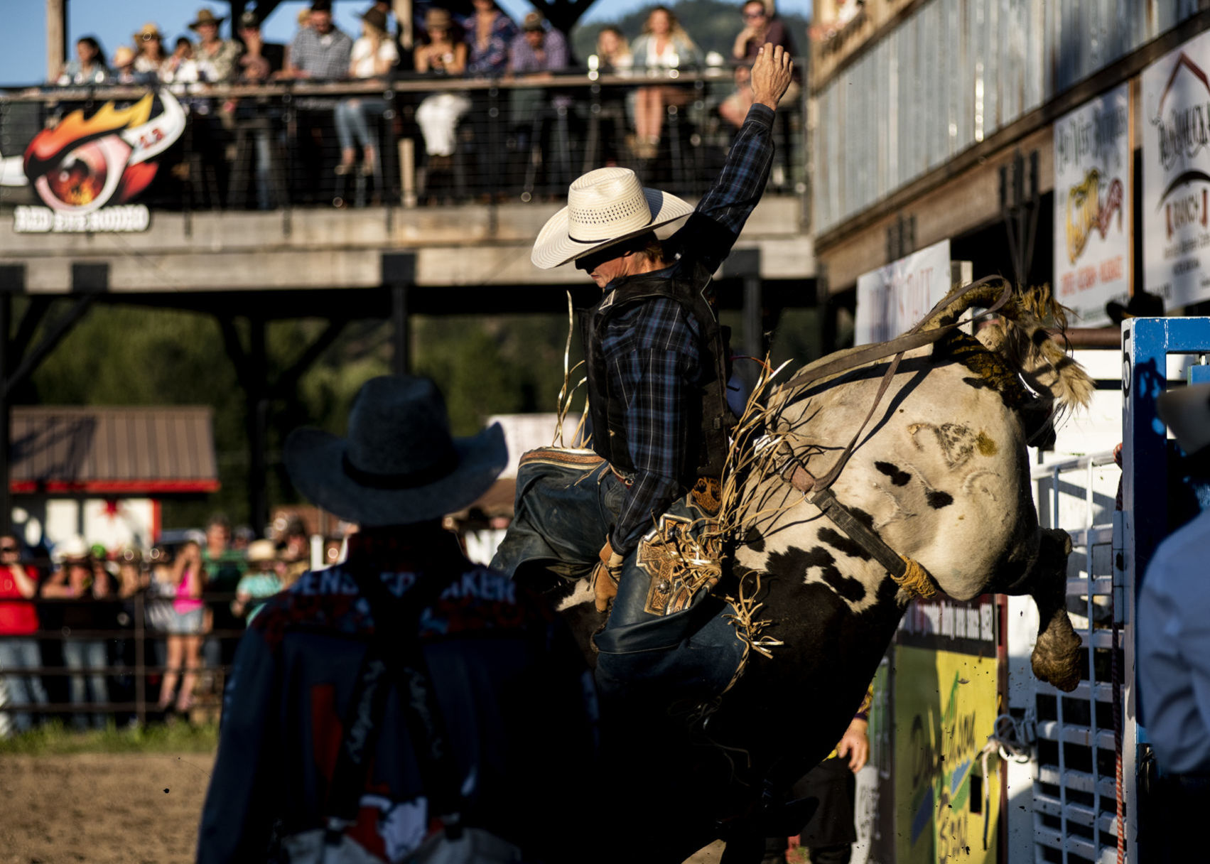 Polsons Payton Fitzpatrick delivers another strong performance in Darby bull riding event image