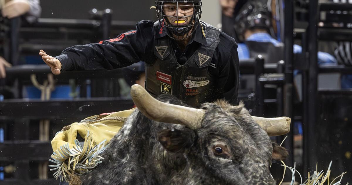 Chase Hawks Rodeo Photos: 2024 Chase Hawks Rough Stock Rodeo