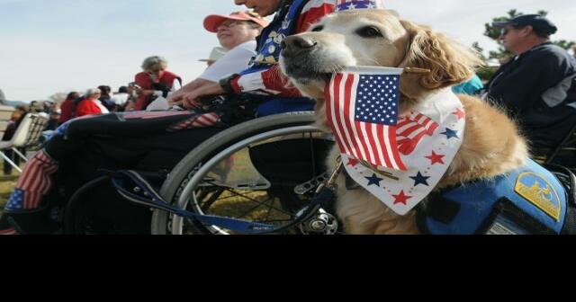 Veterans day discounts florida