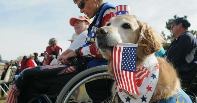 Veterans day discounts florida Veterans day discounts florida