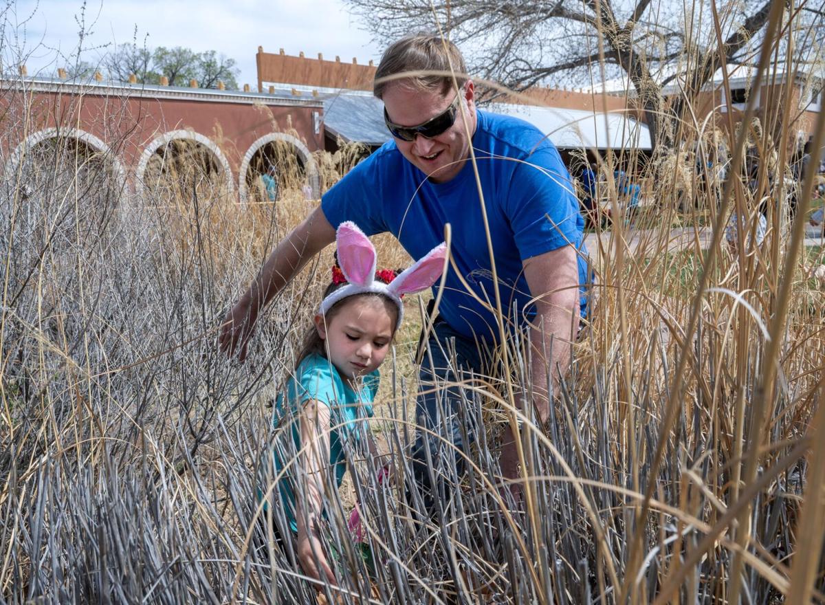 Hippity hoppity Easter's on its way! Check out these 6 egg hunts