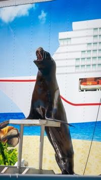 Sea Lions make a splash at 2023 New Mexico State Fair 