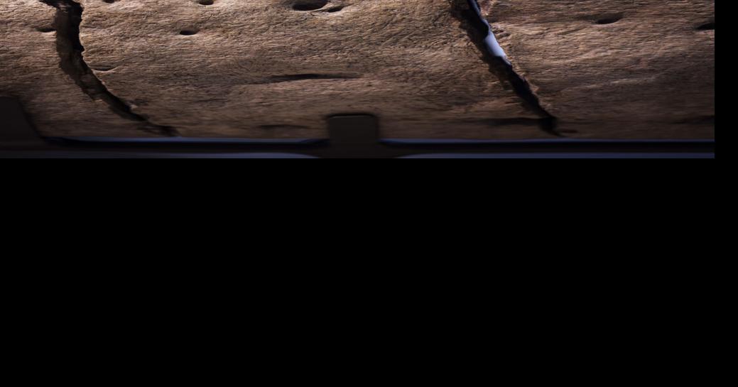 New T-Rex species on display at NM Natural History Museum first found
