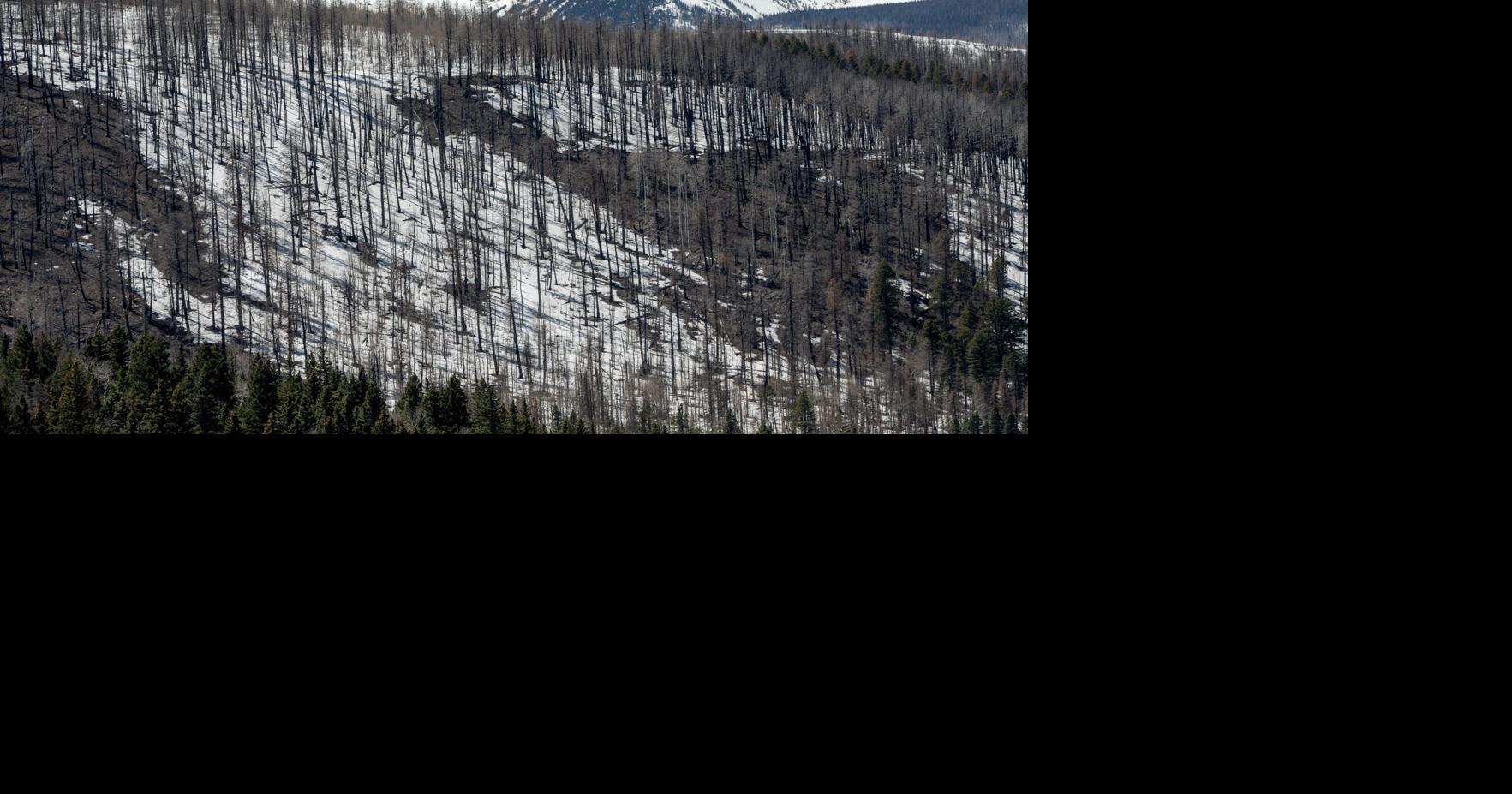 The Rio Grande is full as much of New Mexico's snowmelt rushes by