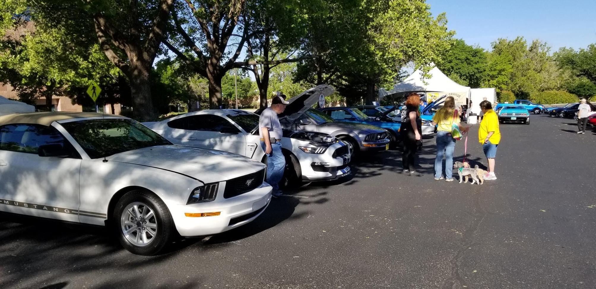 Summerfest, Mustangs, movies and more 7 events for this weekend Lifestyle
