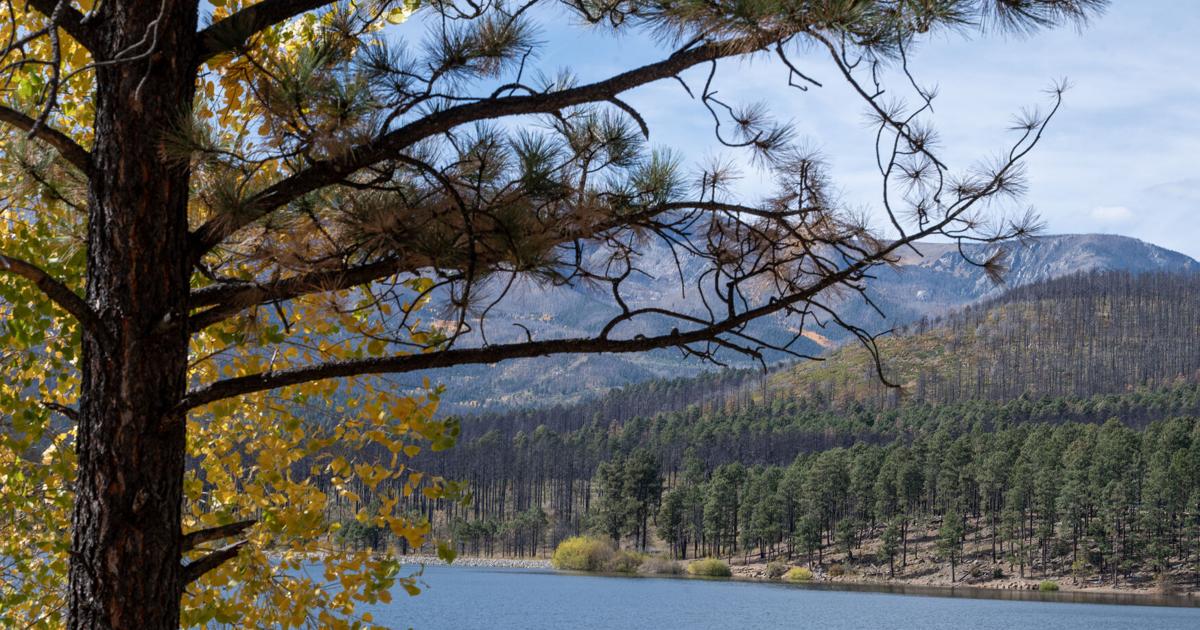 New Mexico resident veterans now eligible for lifetime pass to New Mexico State Parks
