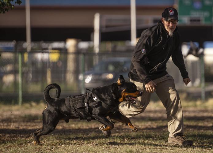 Albuquerque City Council Allocates Proceeds from Dog Park Sale