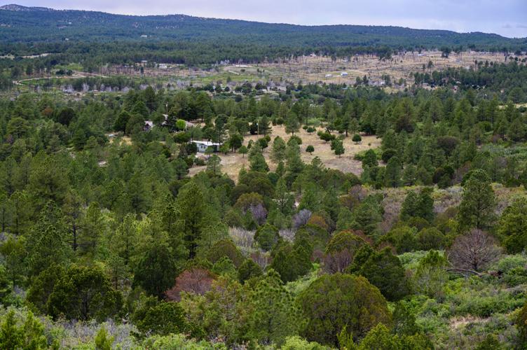 Timberon has water, water everywhere, and not a drop to drink (or flush). Blame the pipes