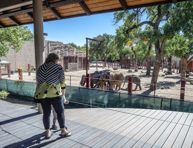 ABQ BioPark Is Adding New Exhibits Expected To Open Next Year Local   64815896afc47.image 