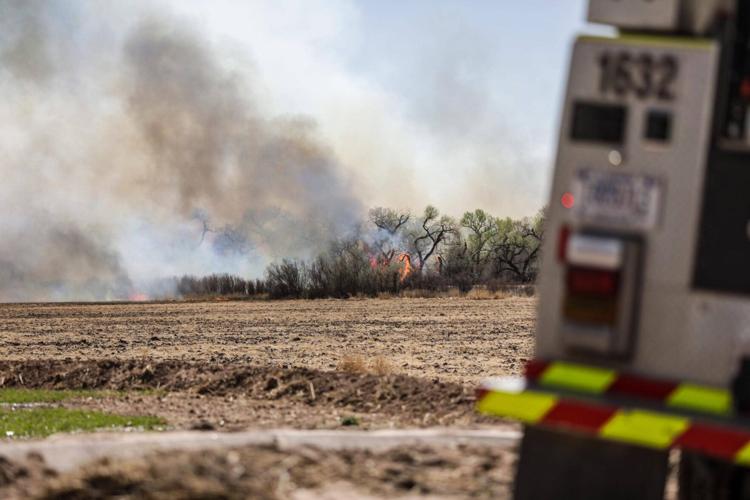Crews respond to Jarales bosque fire Local News