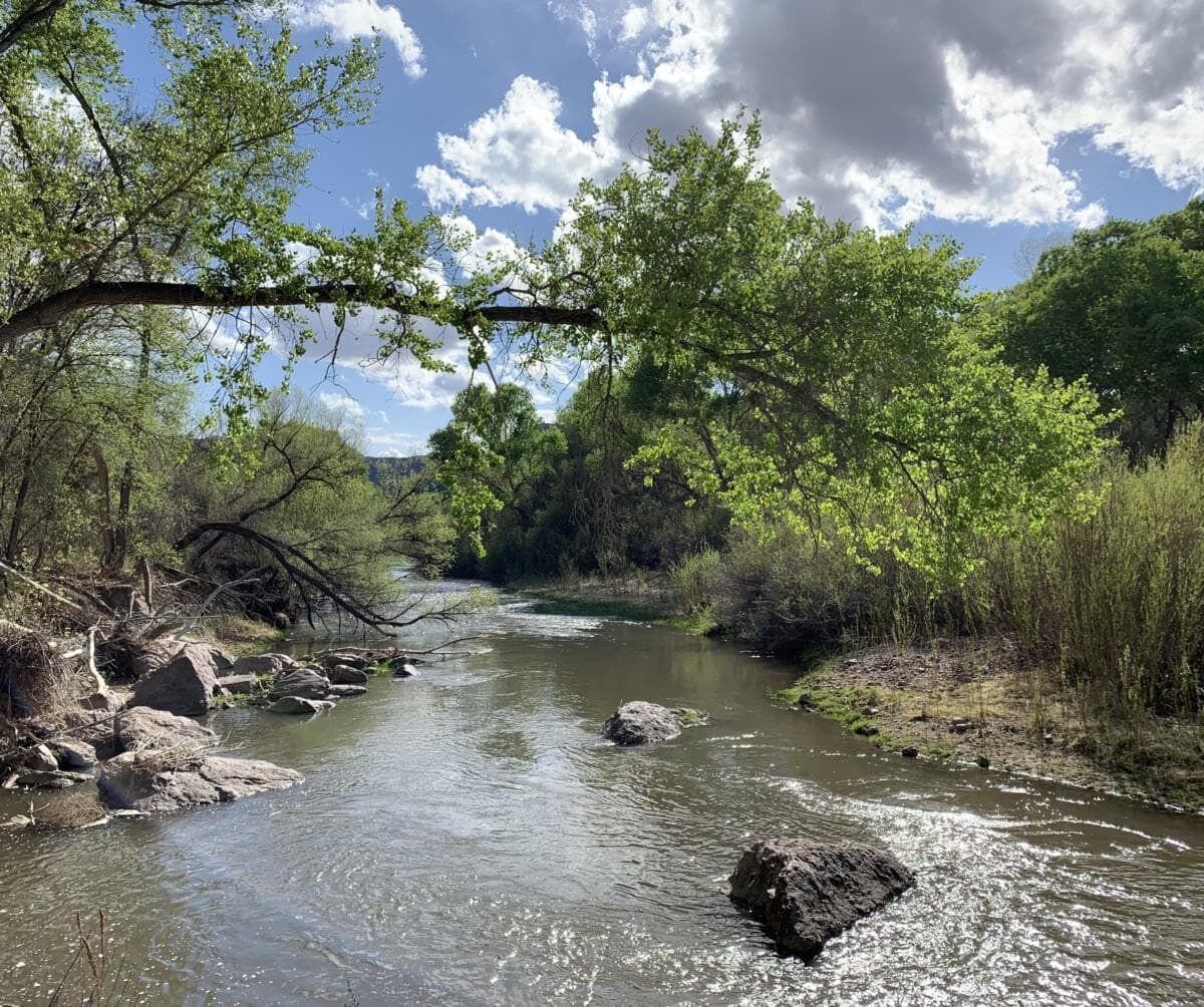 The Gila River - Gila Conservation Coalition