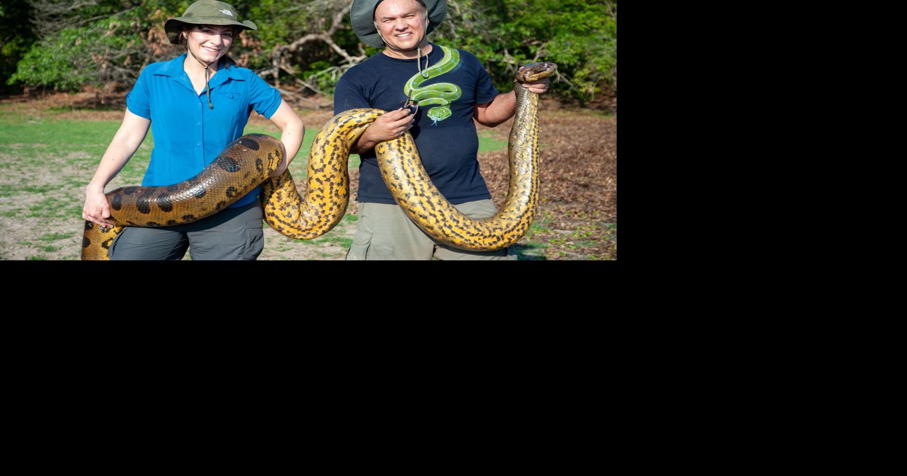 New anaconda species discovered by Las Vegas, NM, couple | News