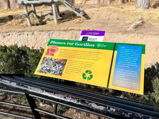 ABQ BioPark Zoo program aims to recycle old cellphones Local News