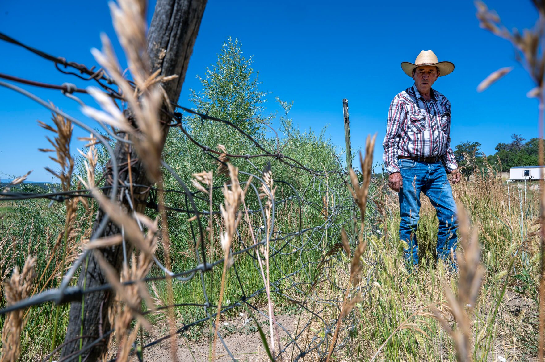 Frustrated Landowners Sue State Over Damage Caused By Elk | State ...