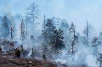 105-year-old woman loses home in Calf Canyon/Hermits Peak Fire 