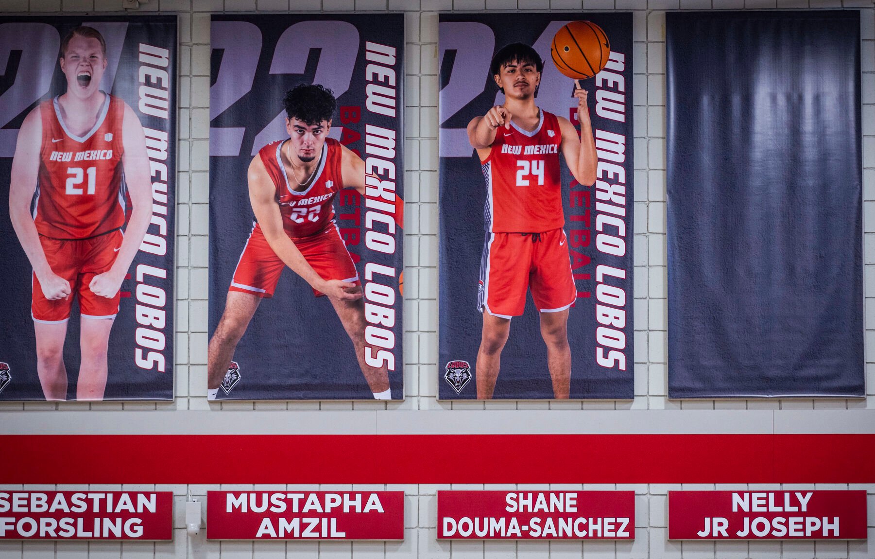 New mexico lobos store men's basketball roster