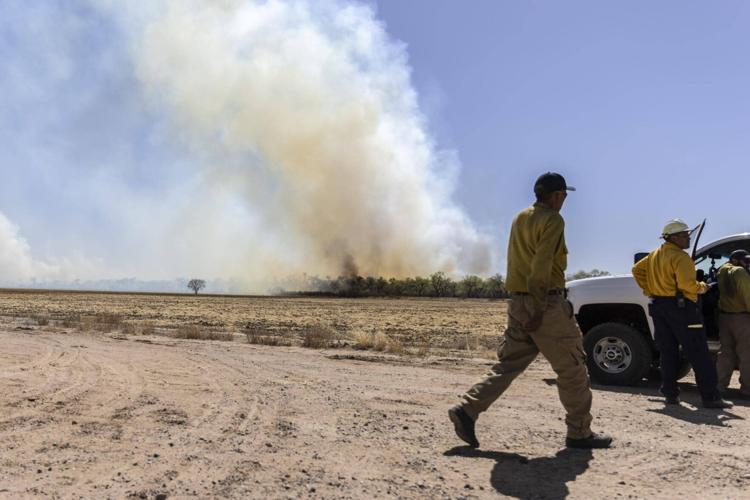 Crews respond to Jarales bosque fire Local News