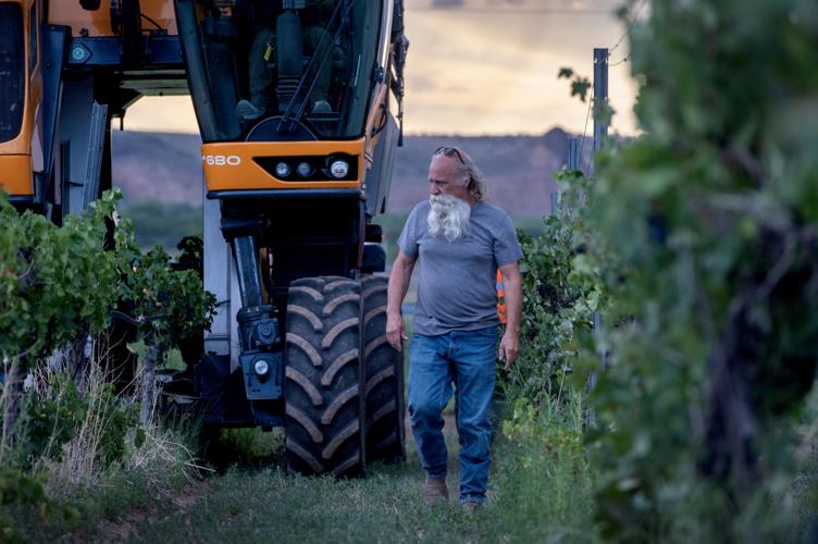 Enjoying the fruits of your labor — if you have the labor 