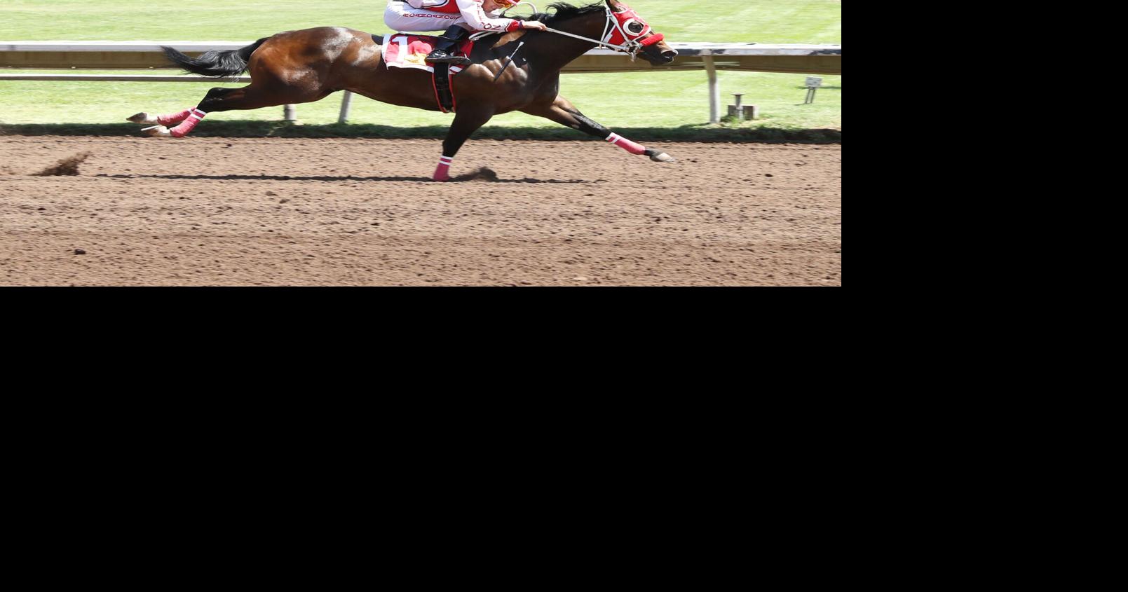 All American Futurity — world’s richest quarter horse race — in Albuquerque this year. Here’s what to know ahead of Monday’s showdown.