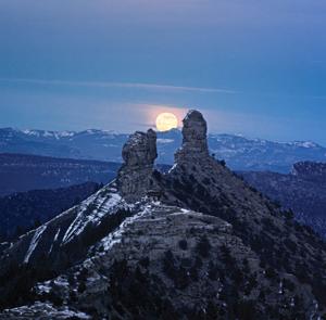featured-image
