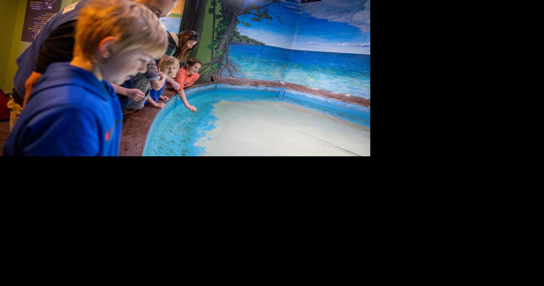 Photos ABQ BioPark hosts Aquarium Homeschool Day Multimedia