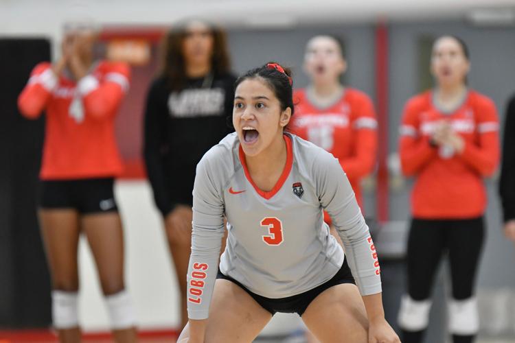 UNM volleyball is winning with nationally ranked defense. Here's the ...