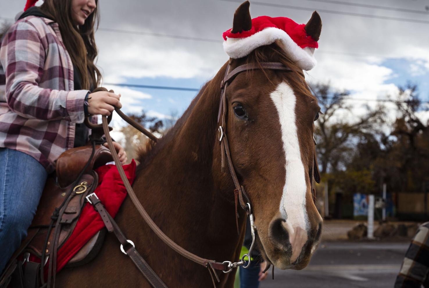 7+ pictures of Christmas de los Caballos Parade in Corrales