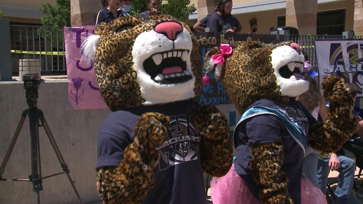 Single Power Jaguar Mascot Costume