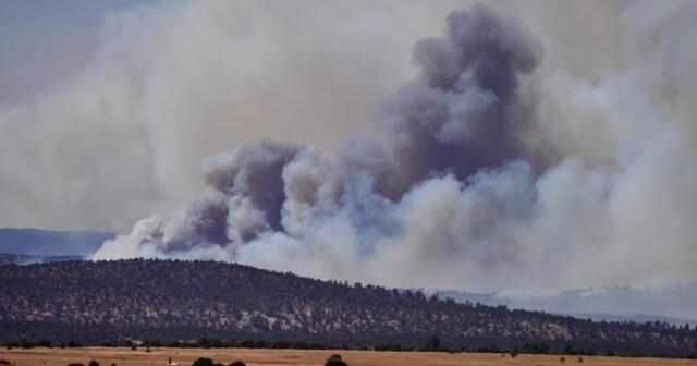 The 5 largest wildfires in New Mexico history | News | abqjournal.com