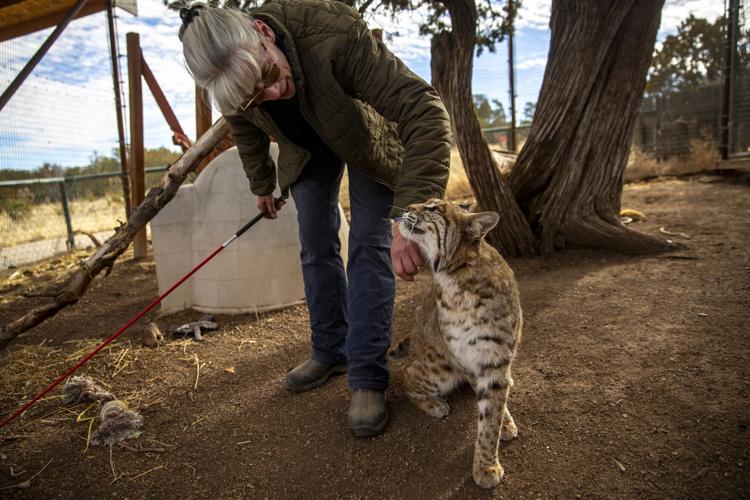 Wildlife West Nature Park in Edgewood: A zoo for sale | Business 