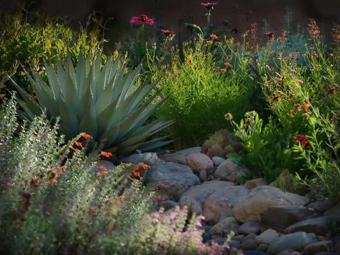 Seven gardens featured in the 2022 Placitas Garden Tour Arts