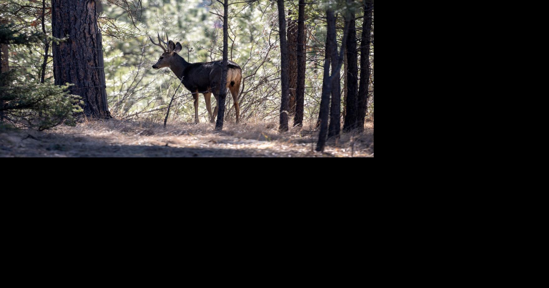 Governor's partial veto of Game Commission bill leaves advocates mulling next steps