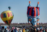 Albuquerque Aerostat Ascension Association (Quad A)-Frost Buddy