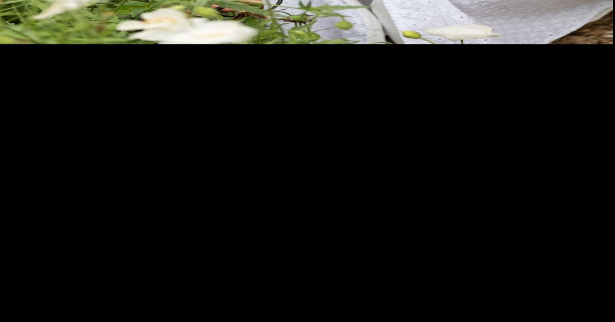 Gardening as therapy, a seed worth planting