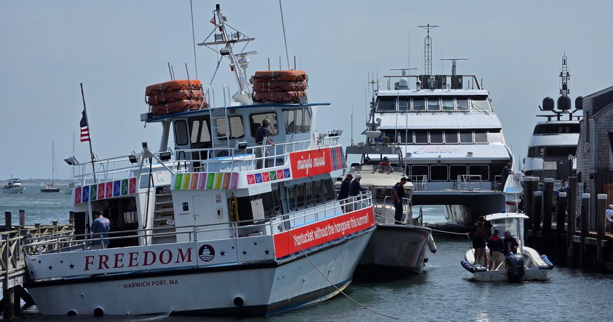 Passengers evacuated from Freedom ferry after getting stuck at Old North Wharf