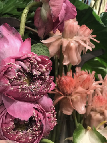 Learning flowers in the city that never sleeps | Lifestyle | ack.net