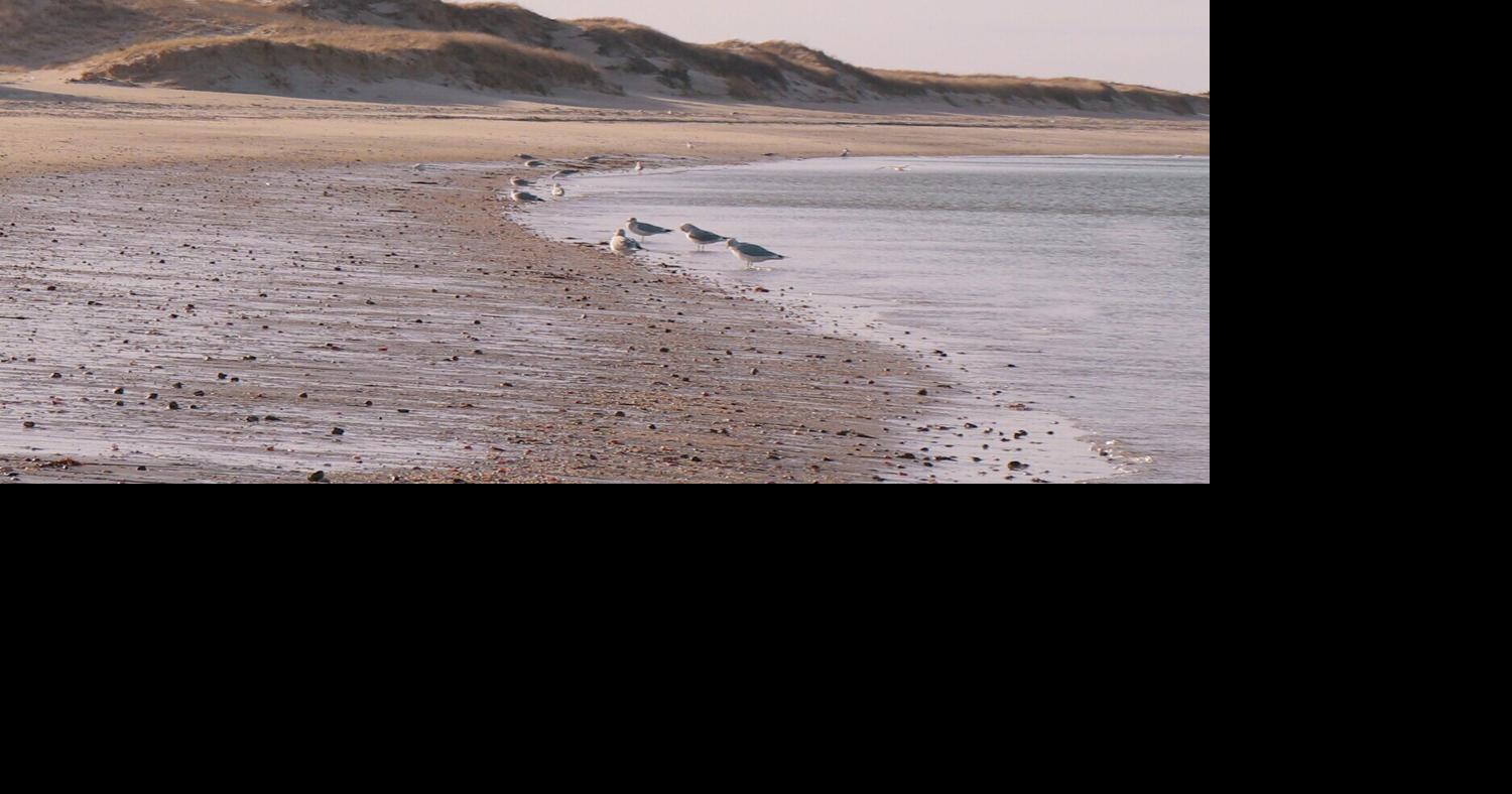 Additional west-end beach access closed | Happening Now | ack.net