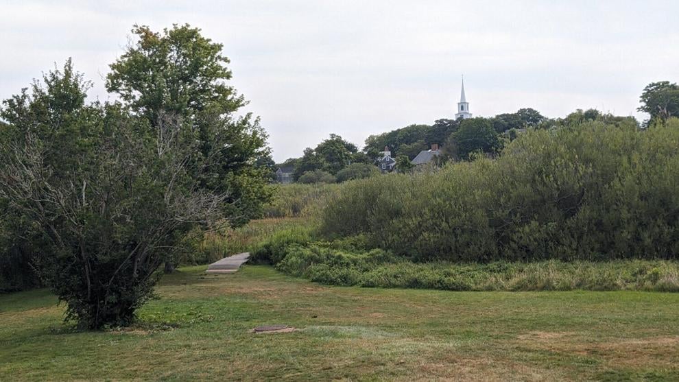 Land Bank’s long-planned Lily Pond Park restoration goes out to bid