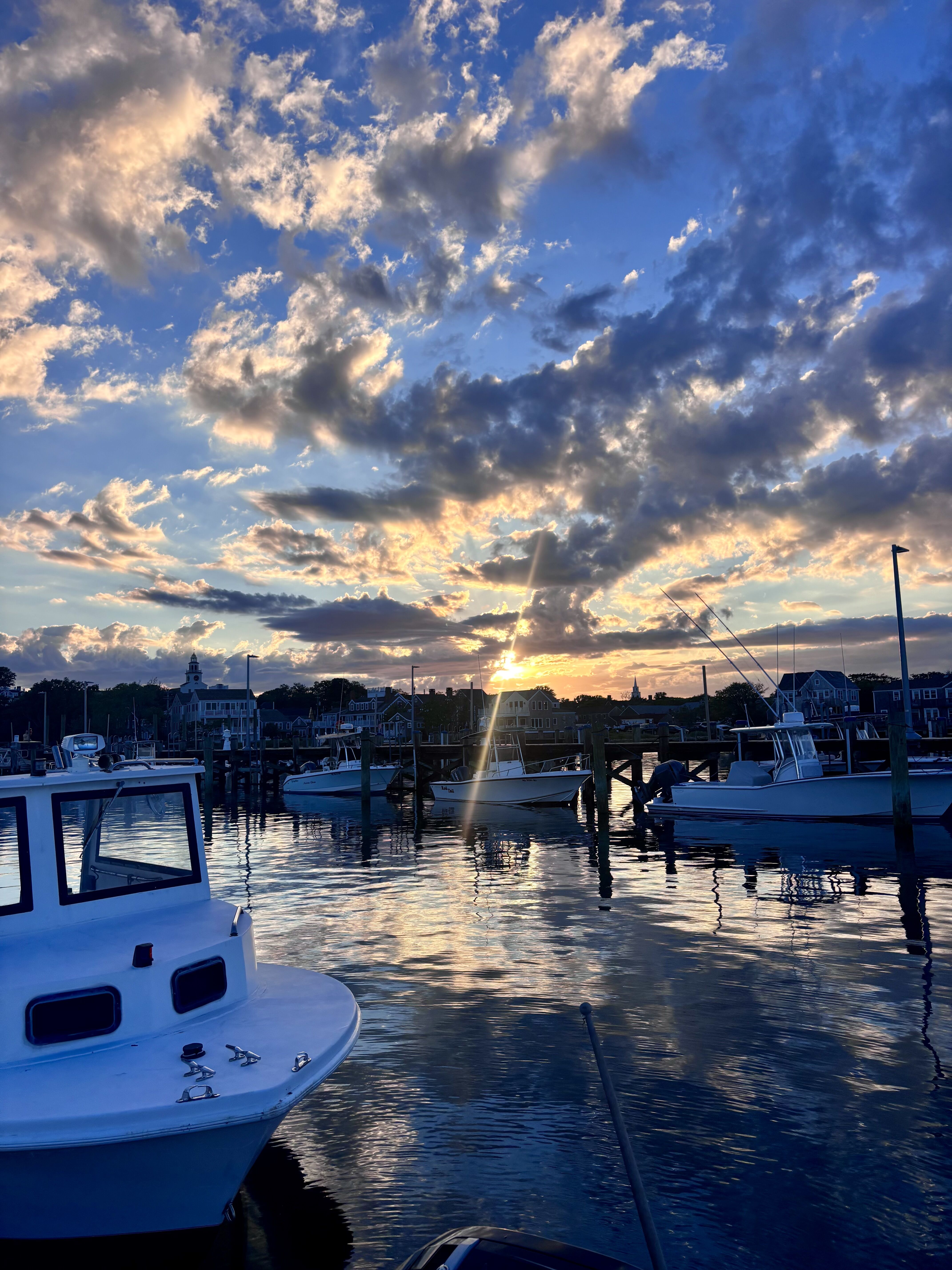 Reader Gallery: Nantucket Summer Splendor | Photo Galleries | ack.net