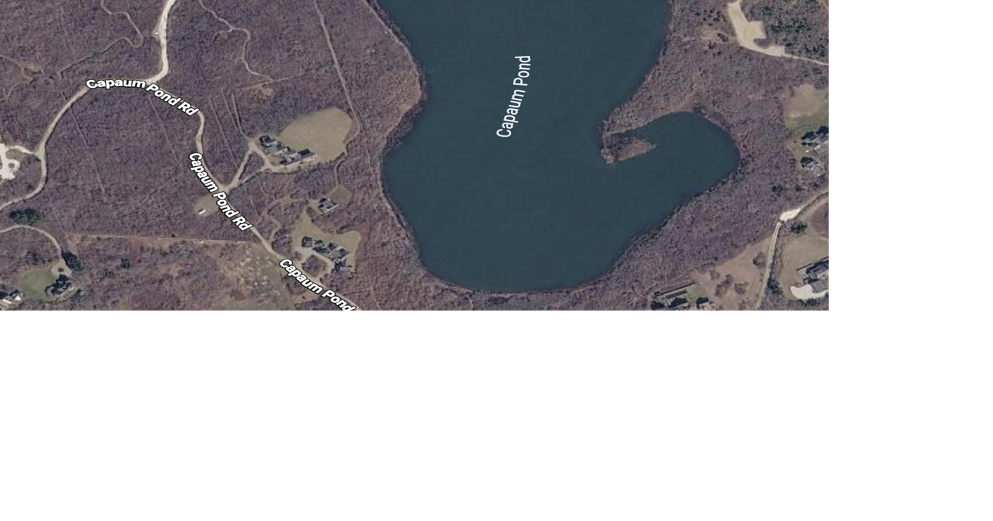 Harmful algae blooms reported in three island ponds