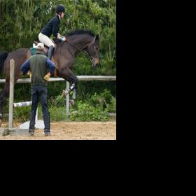 Land Bank lukewarm on public equestrian facility