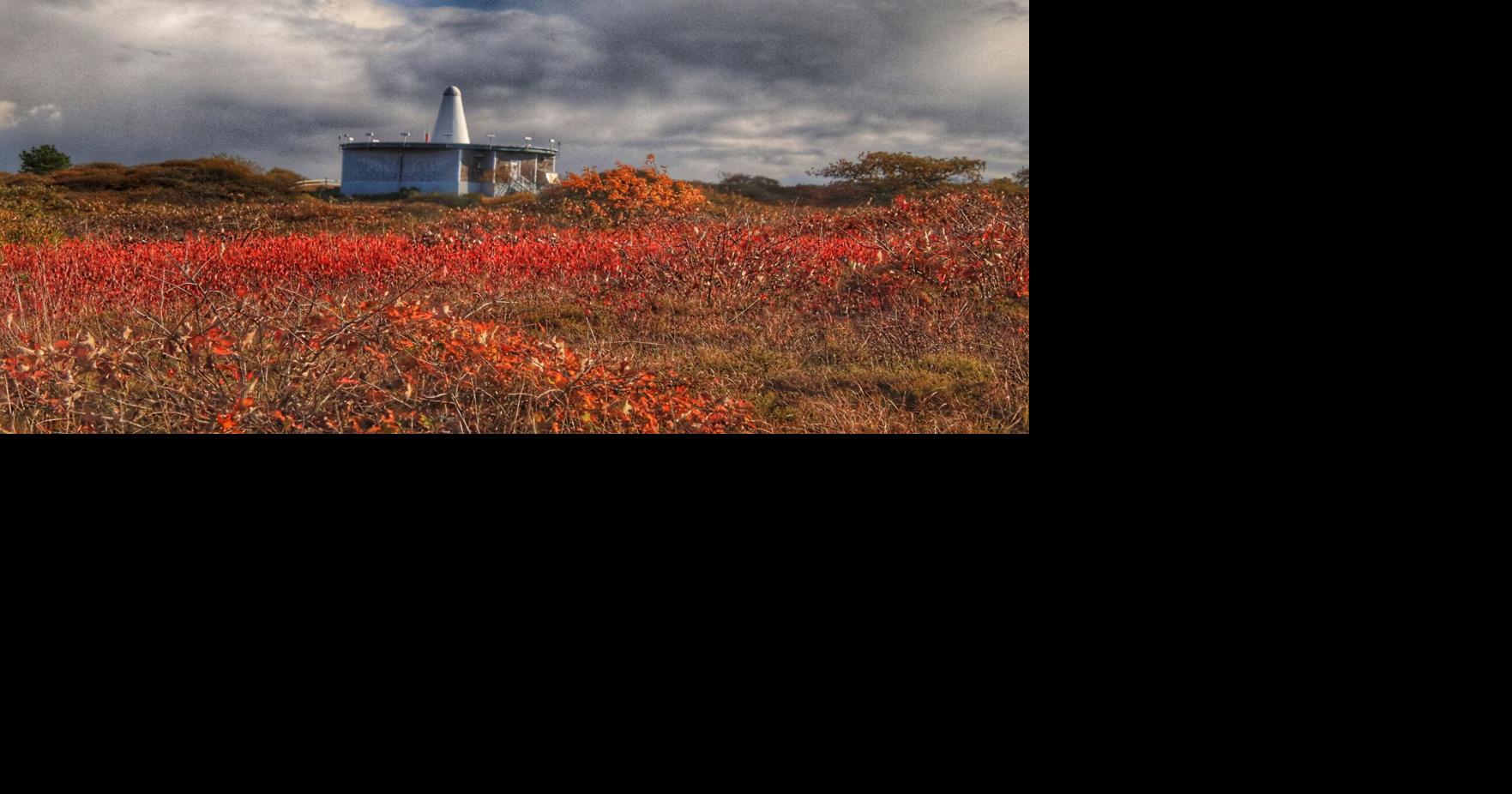 Photo Gallery: Late Fall Splendor | News | ack.net