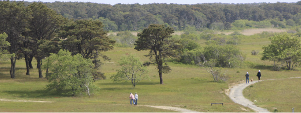 Nature Walks this weekend