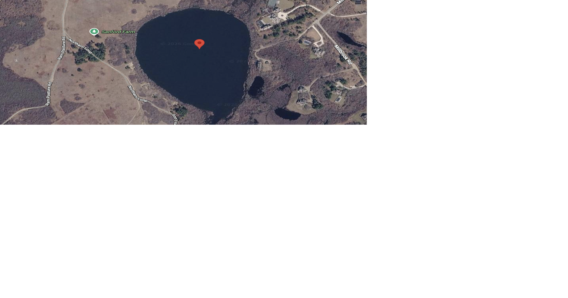 Algae bloom in the Head of Hummock Pond for third straight week