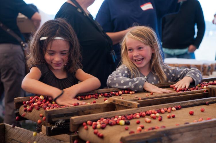 Island Fair and Cranberry Festival merge to create Nantucket Harvest Fair News