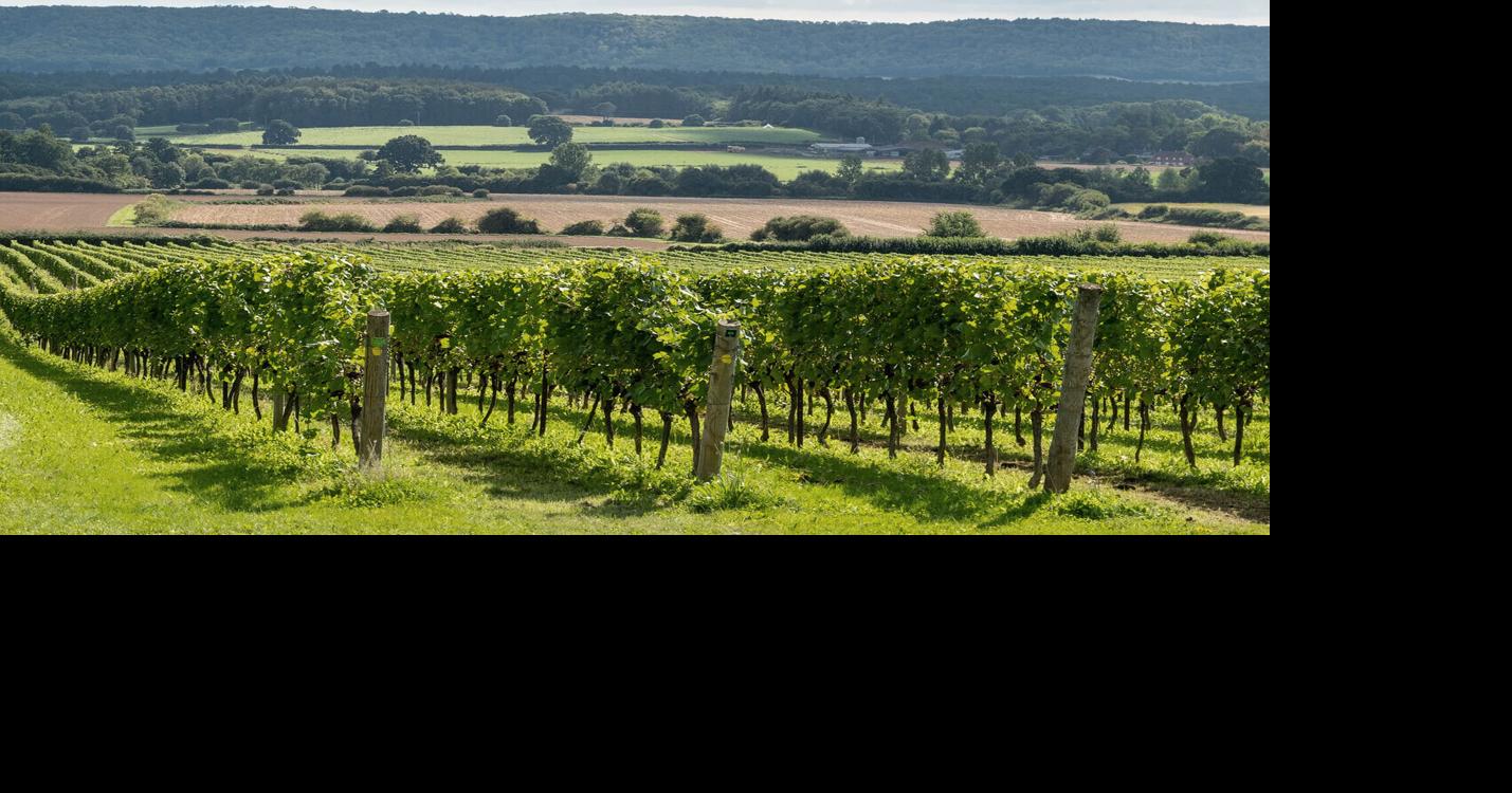 The English sparkling wine revolution
