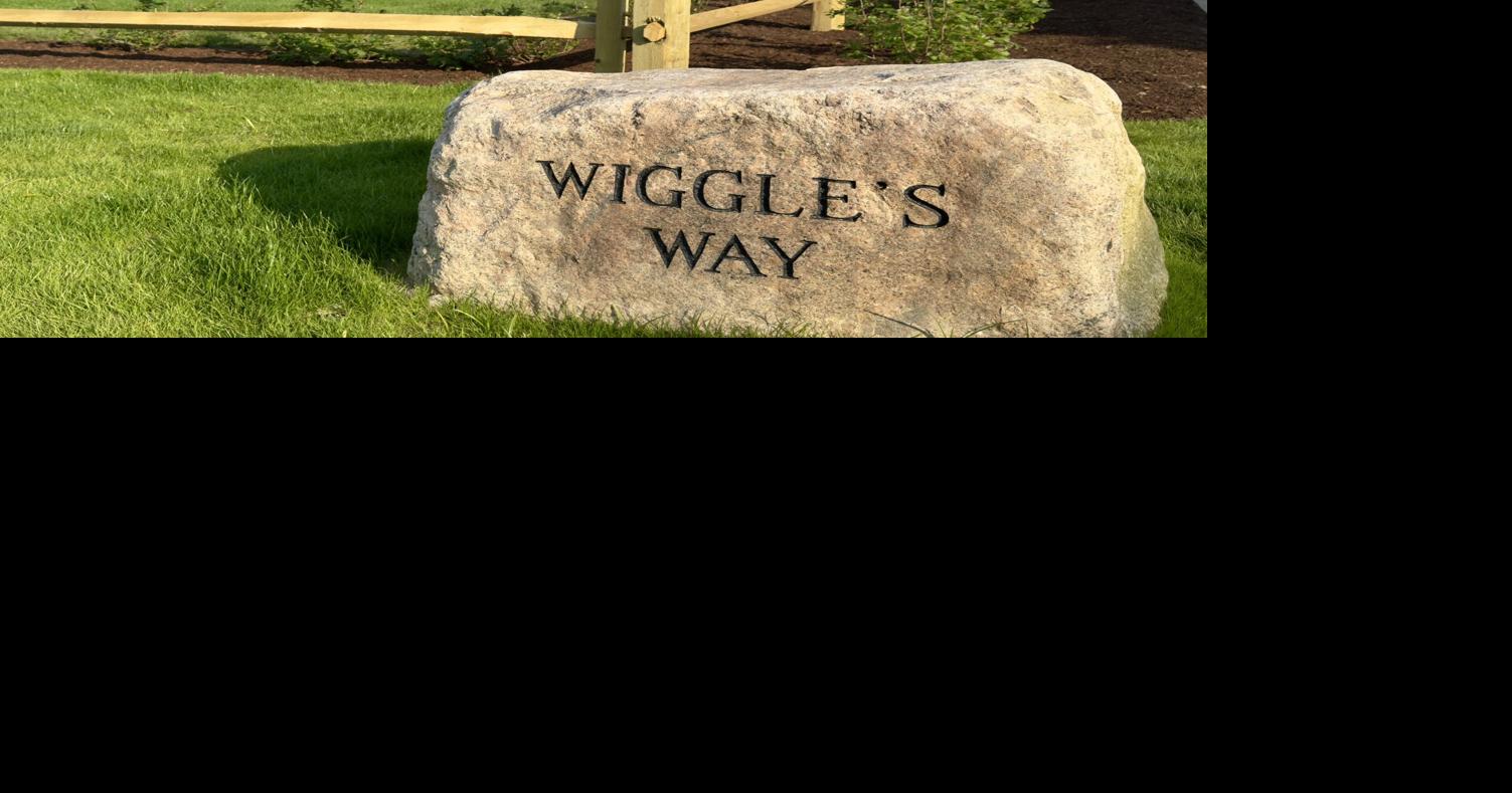Audit of Wiggles Way cites lack of transparency in construction cost overruns
